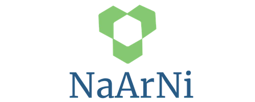 NaArNi logo – electric intercity buses and EV mobility solutions
